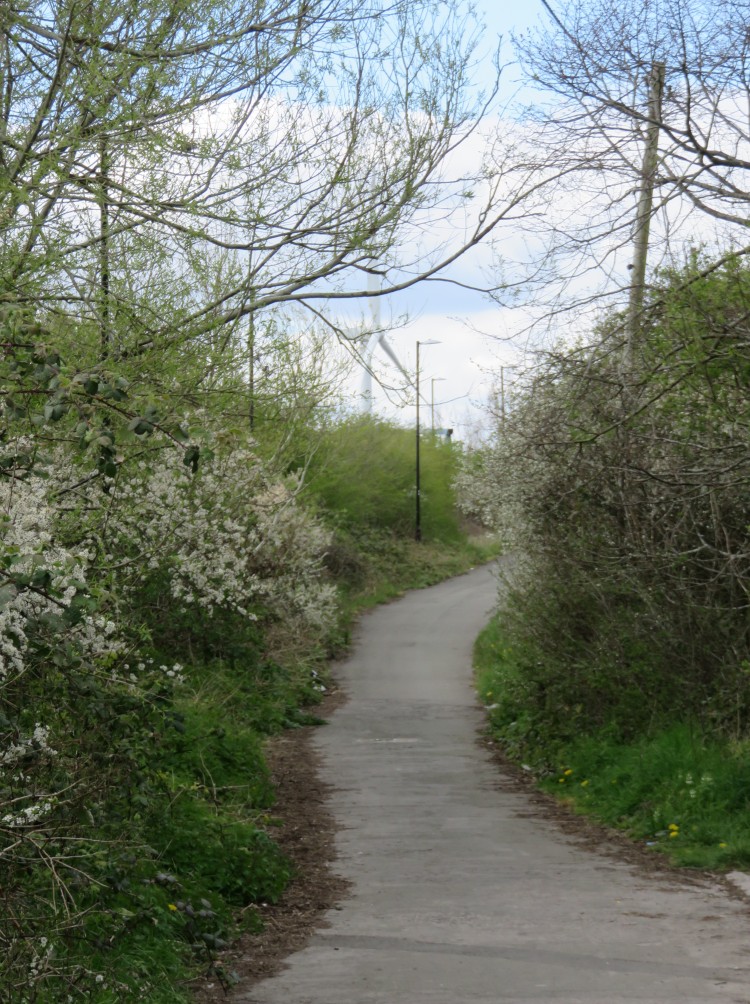 The closed section of Lawrence Weston Road, looking towards Avonmouth