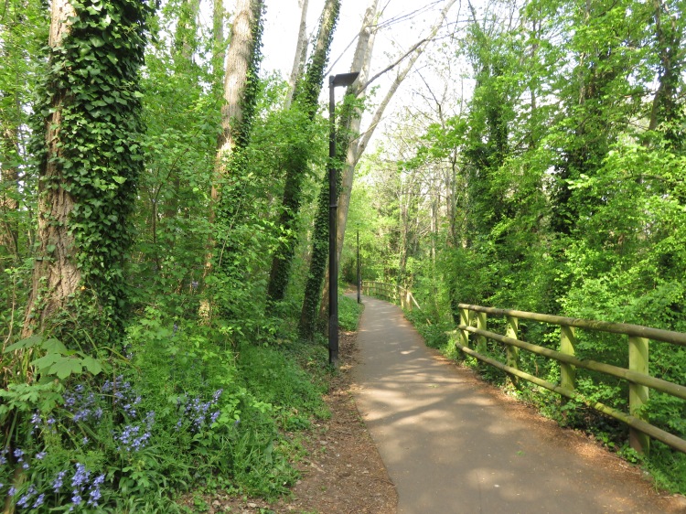 The streamside path in Brislington
